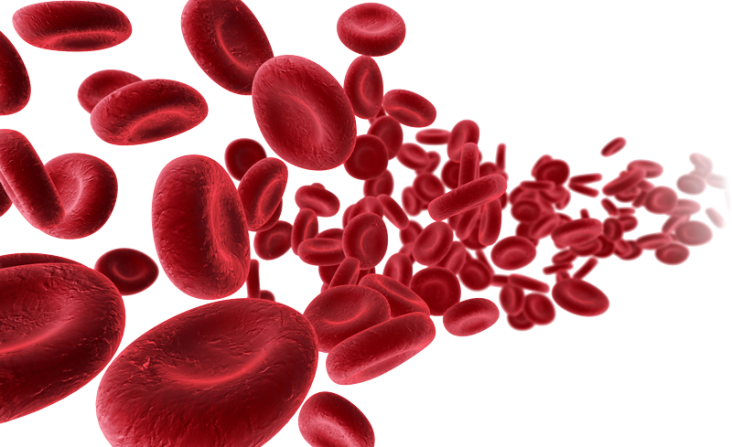 hematopoietice mezenchimale